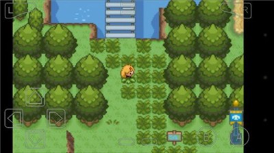 口袋妖怪 釉色 汉化版