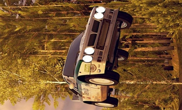 CarX Rally