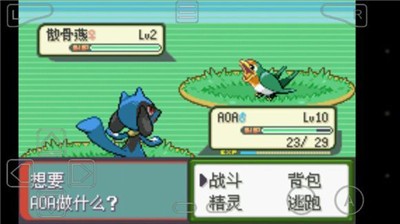 口袋妖怪 釉色 汉化版