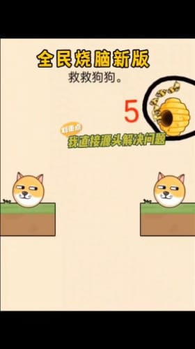 救救小狗狗