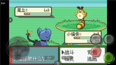 口袋妖怪 釉色 汉化版