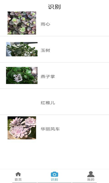植物图鉴 安卓版v1.0