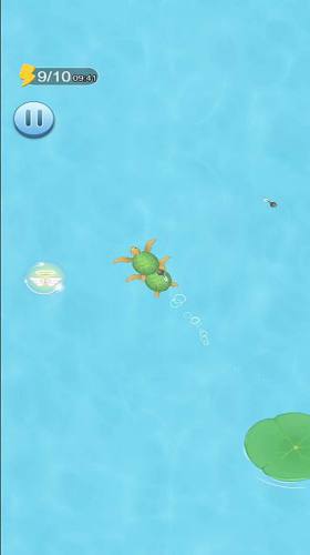 蝌蚪吞王八 蝌蚪吞王八