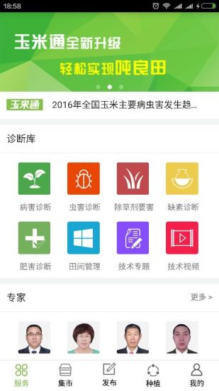 玉米通