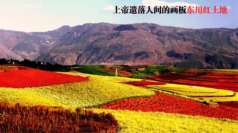 杰兔画报