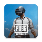 刺激战场国际服正版官方版(PUBG MOBILE) 3.6.0安卓版