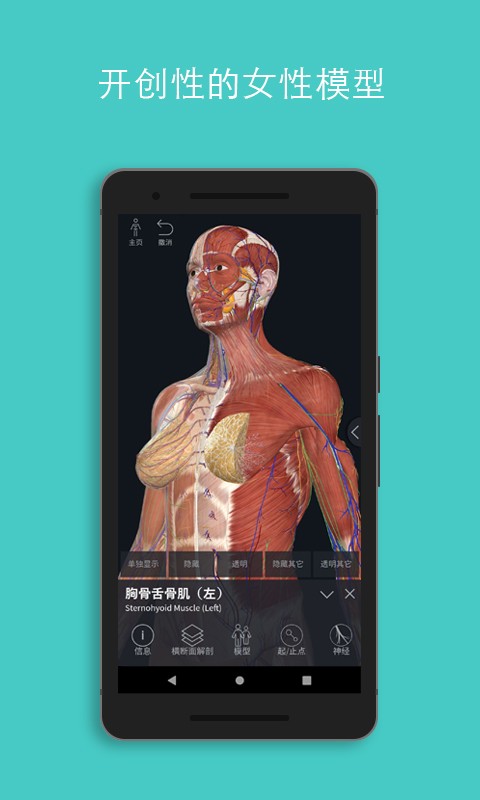 Complete Anatomy 2022(解剖教学平台)