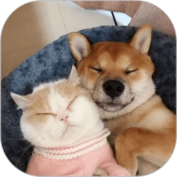 萌趣猫狗翻译器