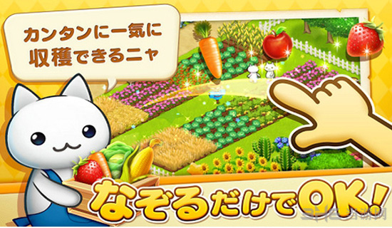 星星岛猫咪 最新安卓版v2.7.45