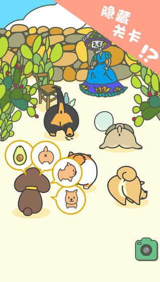 狗狗的屁股 狗狗的屁股