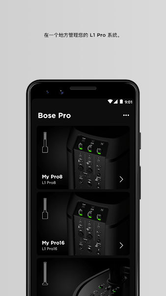 Bose L1 Mix