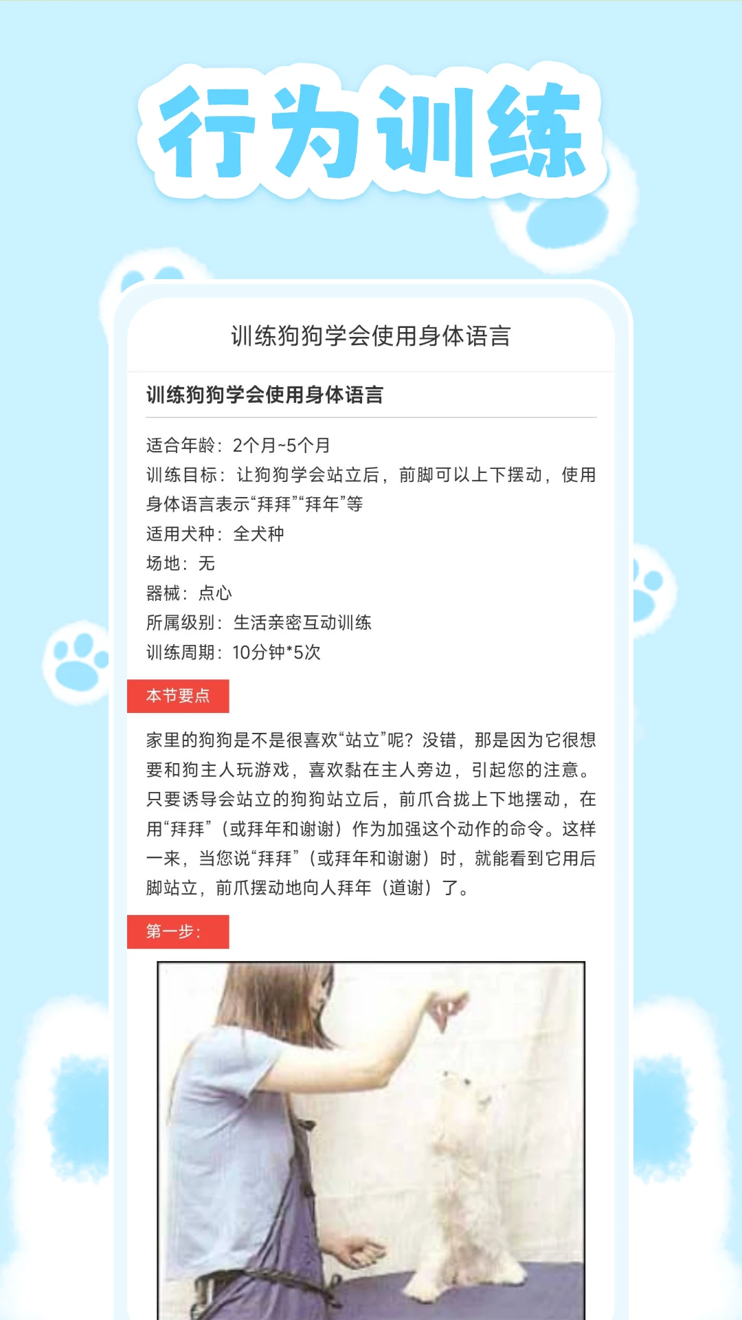 动物对话翻译器