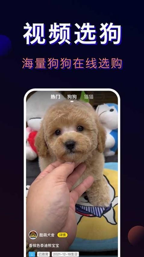 宠物宝-一站式宠物服务平台