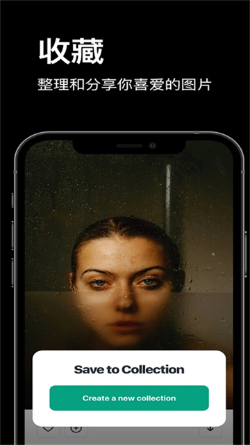 pexels免费素材网 pexels免费素材网