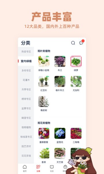 花花优选