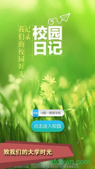 茶苑双扣