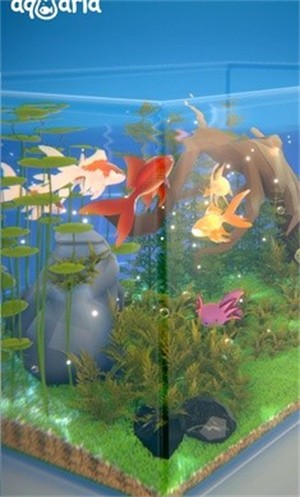 aqualia安装器