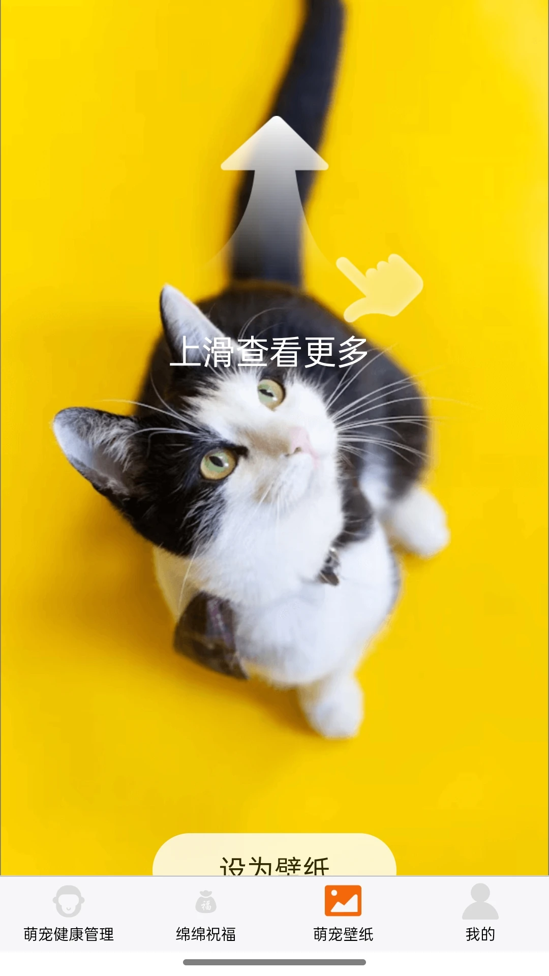 猴瑞绵绵