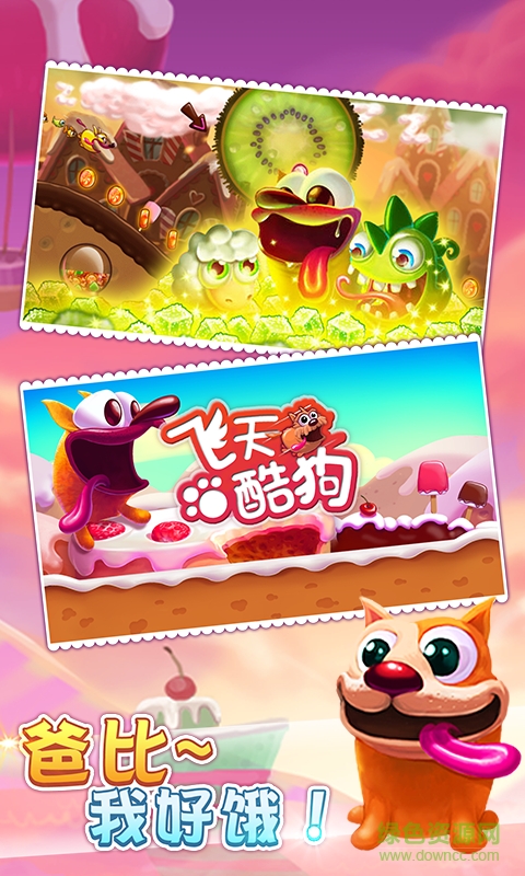 飞天酷狗 飞天酷狗