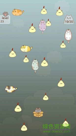 抓住流浪猫
