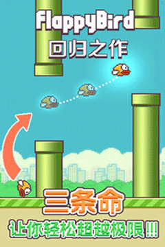 飞翔的小鸟