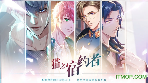 猫之宿约者官方正版