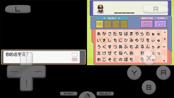 口袋妖怪：心金