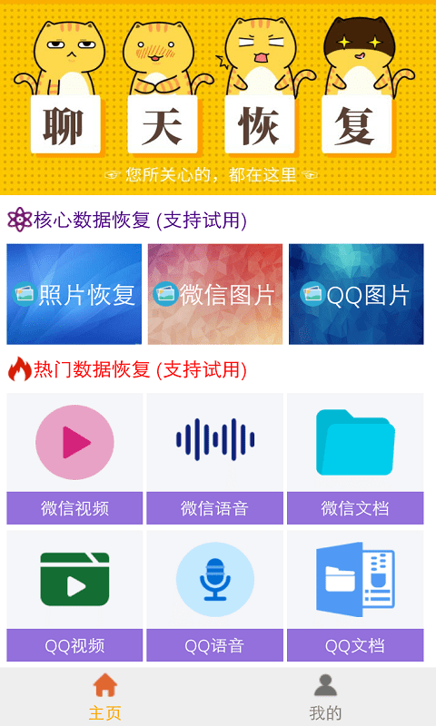 图域照片视频恢复