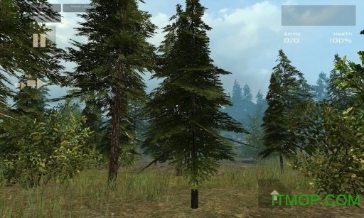 7 Days Survival: Forest