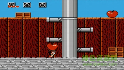 松鼠大作战 松鼠大作战