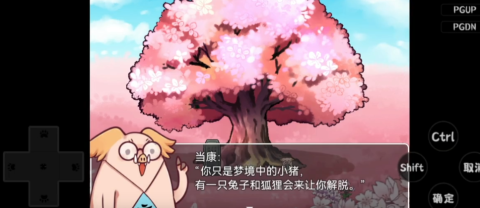四叶苜蓿