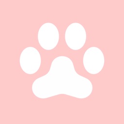 波波猫狗翻译器