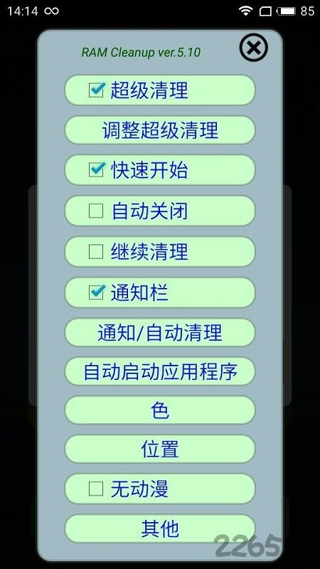 ramcleanup专业版