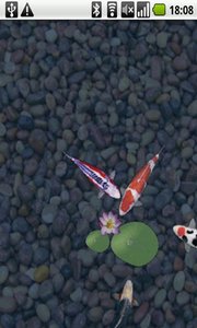 aniPet Koi Live Wallpaper鲤鱼水塘动态主题 aniPet Koi Live Wallpaper鲤鱼水塘动态主题