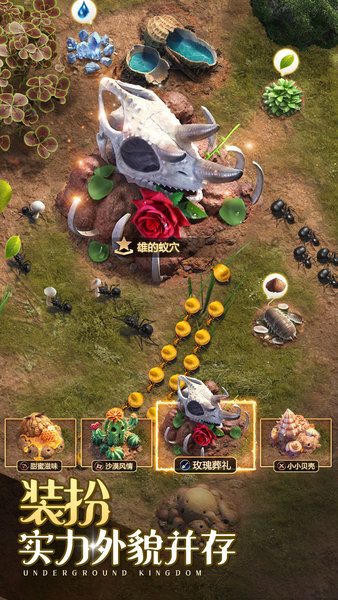 小小蚁国国际版最新版(The Ants)