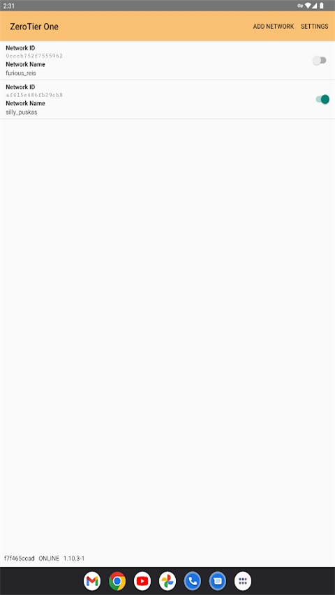 Zerotier One官方手机版 Zerotier One官方手机版