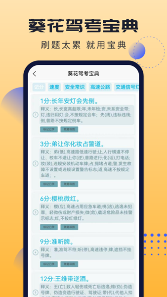 葵花驾考