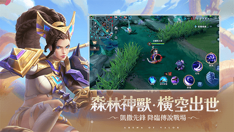 arena of valor国际服官方版