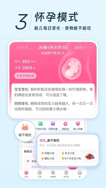 美柚 官方安卓版v8.92.0.0
