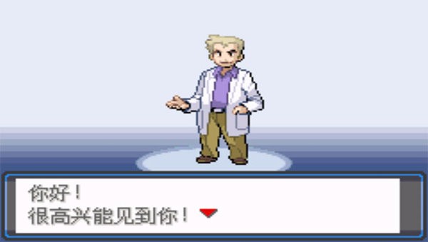 口袋妖怪：宿命的轮回