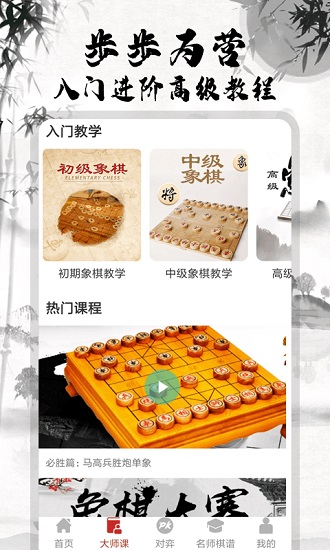 象棋大师