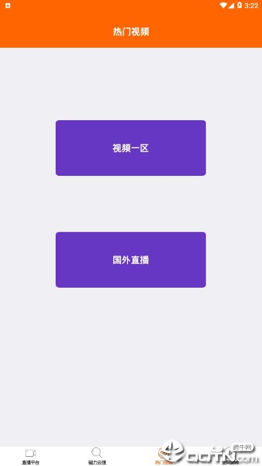 泰迪