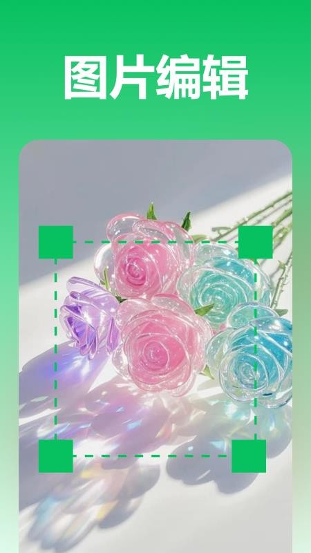 池鱼图片格式转换