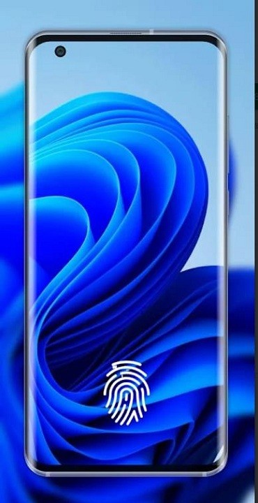 in display 指纹官方版