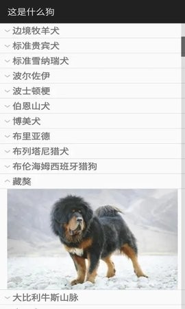 这是什么狗官方版