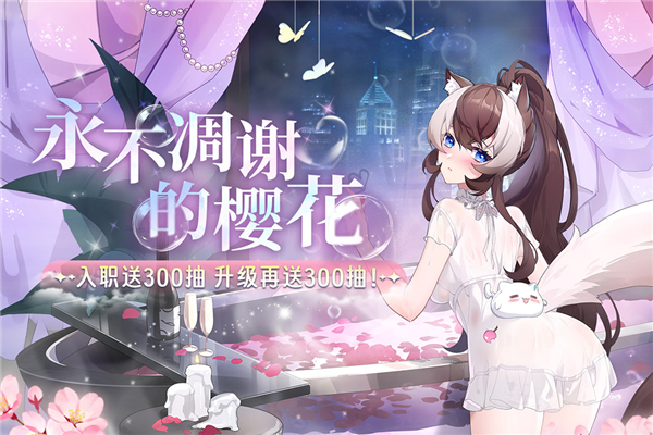 猫之城