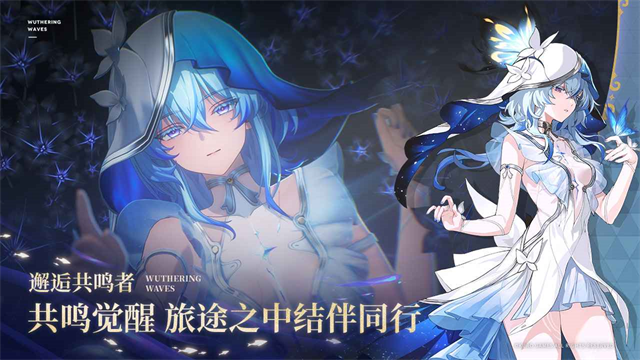 Wuthering Waves安装器