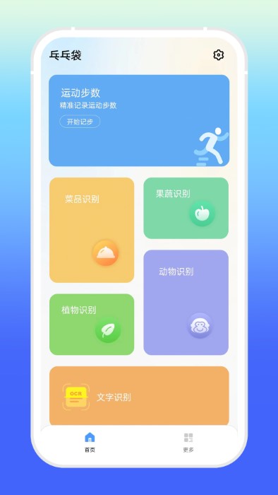 乓乓袋