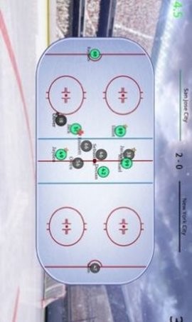 曲棍球裁判模拟器游戏