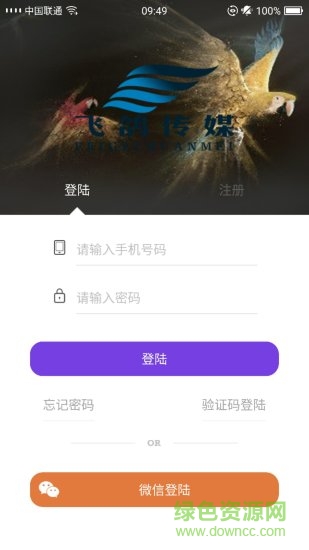 飞鸽传媒